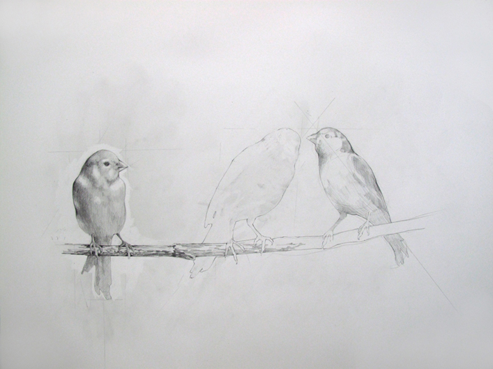 “3 Canaries