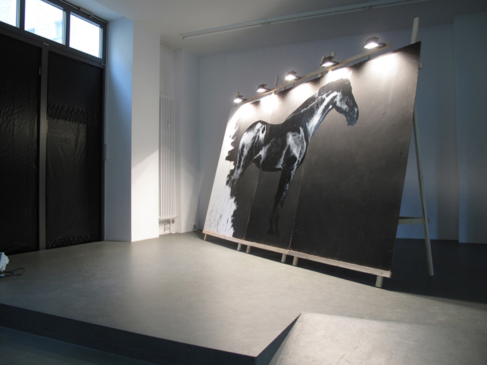 “Rocinante”, gallery installation view
