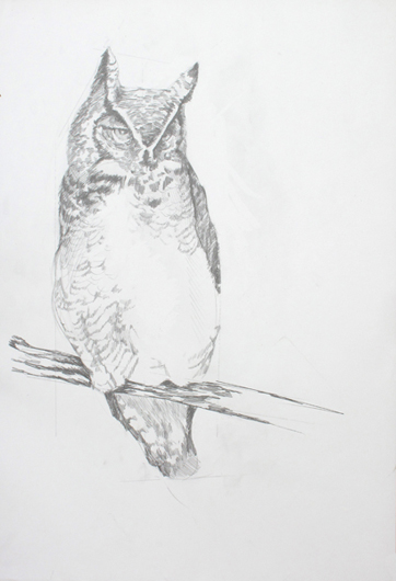 “... the rest of the fucking owl