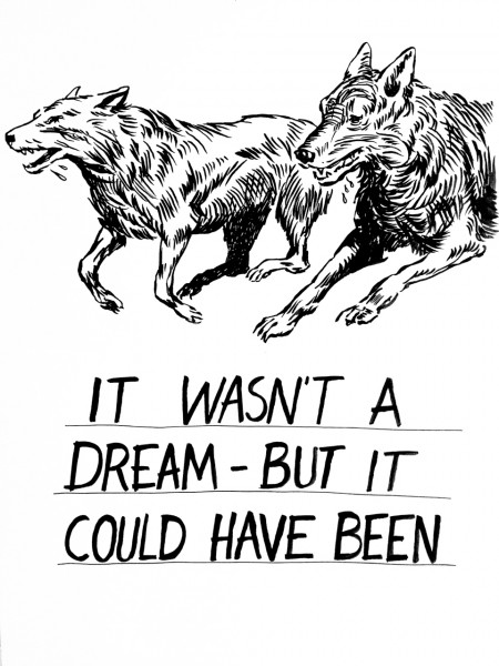 it wasn't a dream- but it could have been