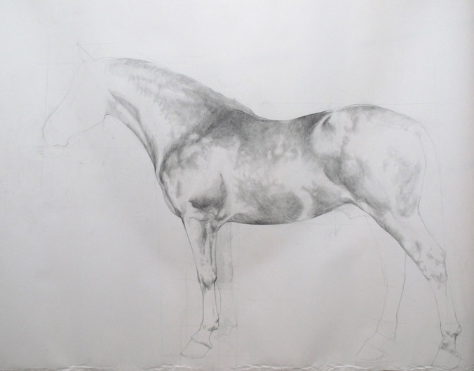 detail